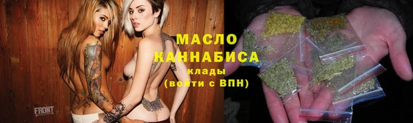 стаф Гусь-Хрустальный