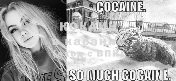 стаф Гусь-Хрустальный