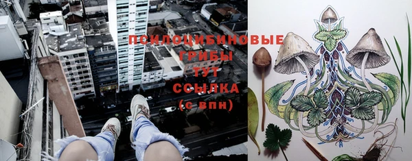 ГАЛЛЮЦИНОГЕННЫЕ ГРИБЫ Хадыженск