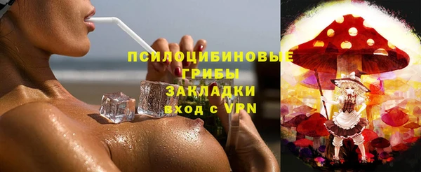 jwh Гусев