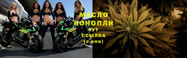 стаф Гусь-Хрустальный