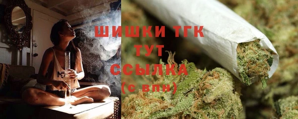 стаф Гусь-Хрустальный