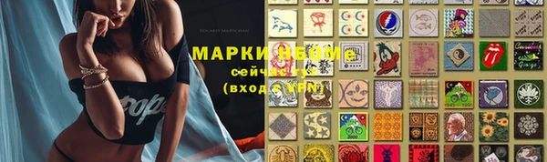 стаф Гусь-Хрустальный